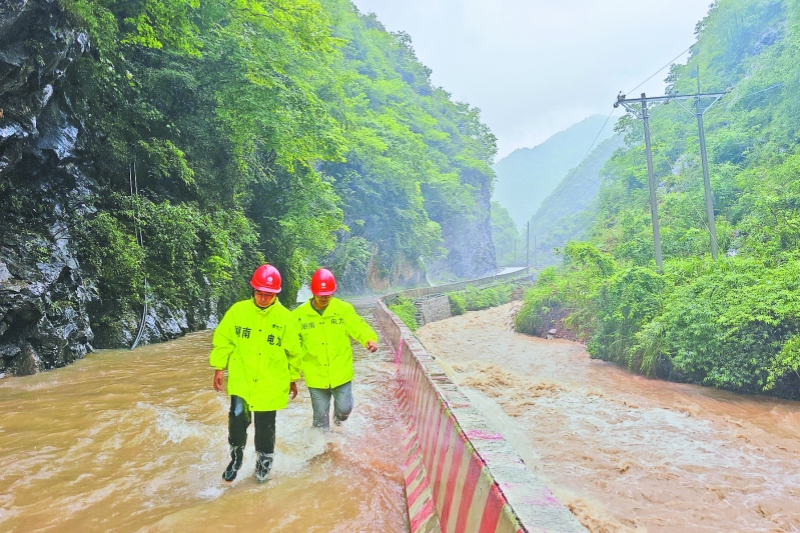 迎峰度夏｜闻“汛”而动抢修保电